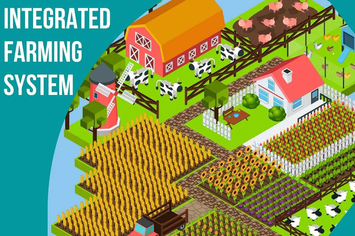 What Is Integrated Farming System