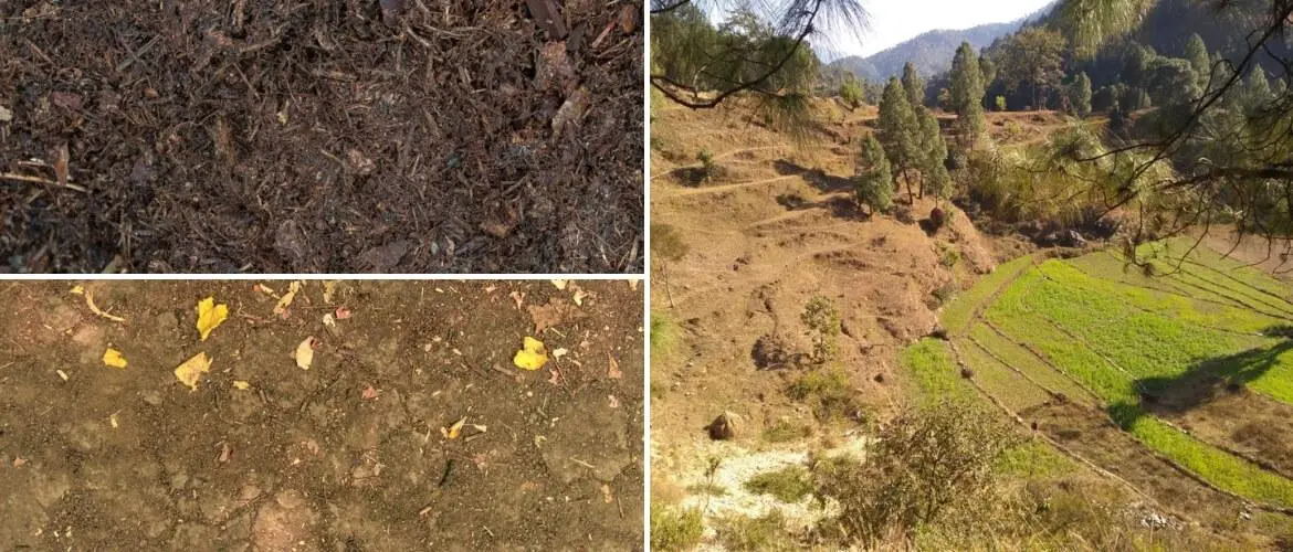 Mountain soils of India forest soils of India