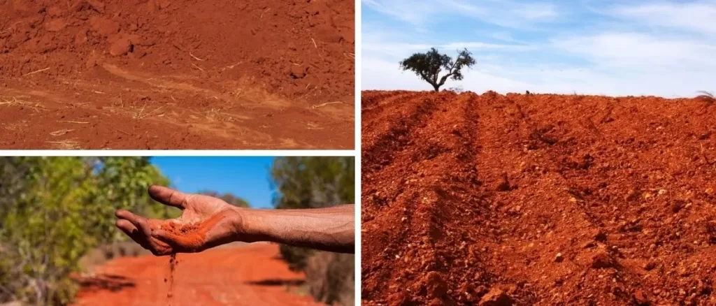 Red soils of India