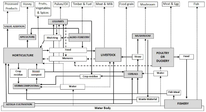 Conceptual framework of integrated farming system, integrating various components of integrated farming system.