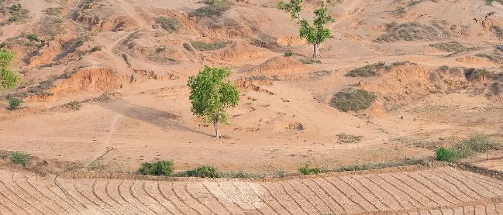 Arid soils of India landscape