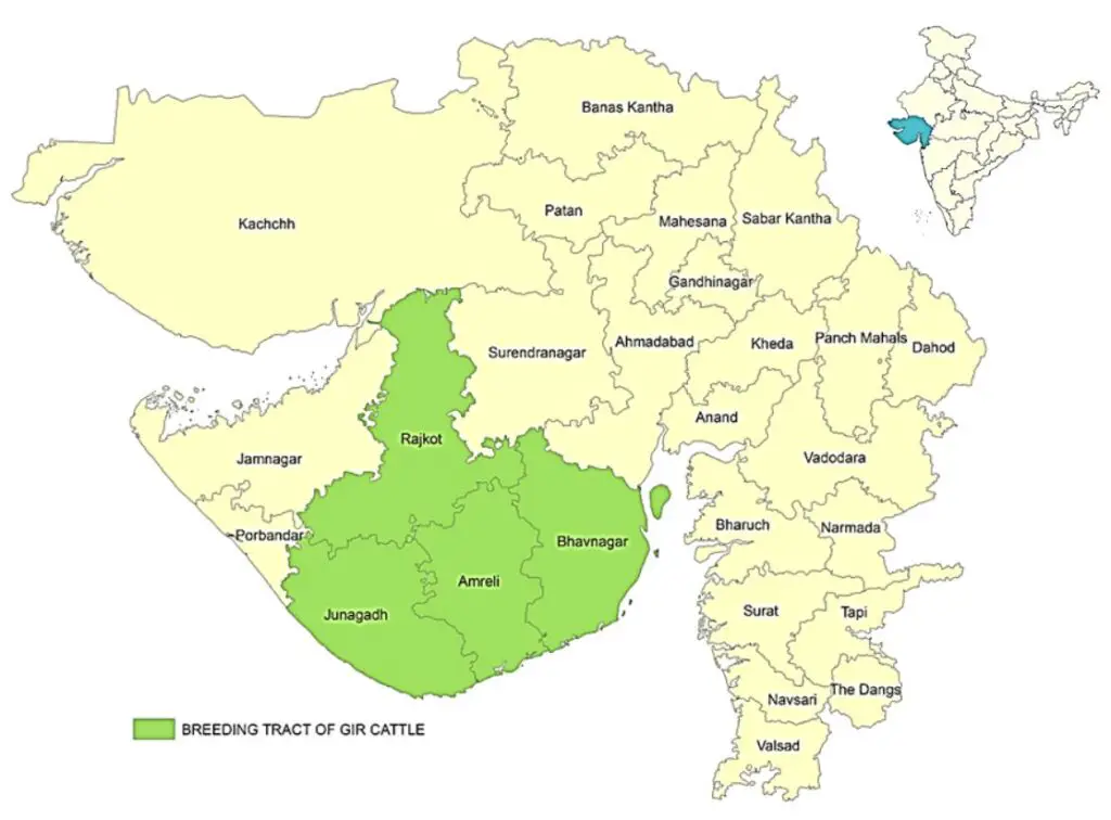 gir cow geographical distribution in India Gir cow breeding tract in India