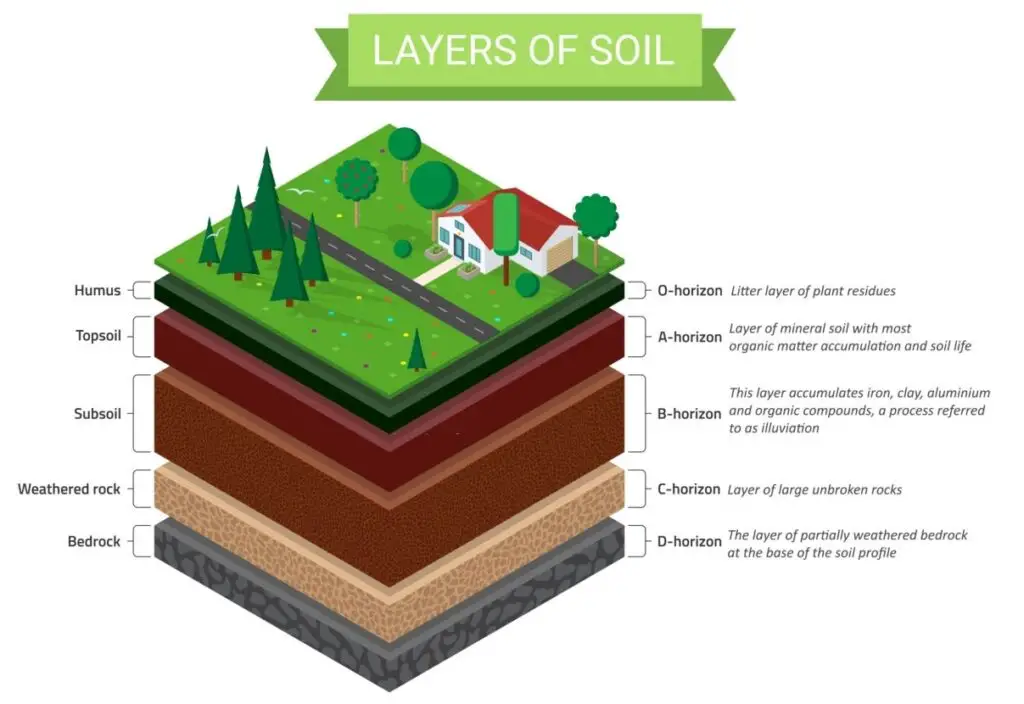 What Is Soil Profile Class 7 Answer