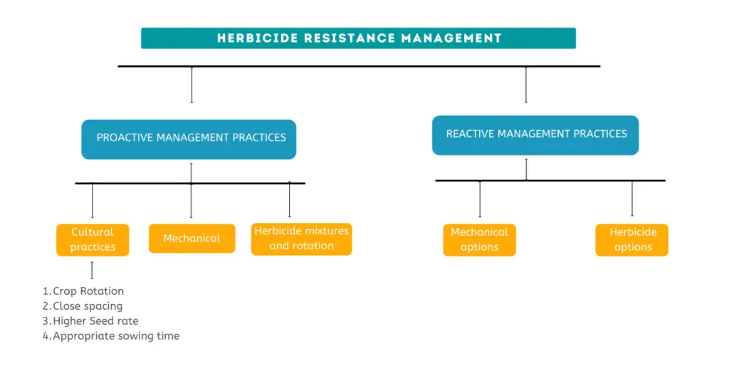 Herbicide Resistance Management