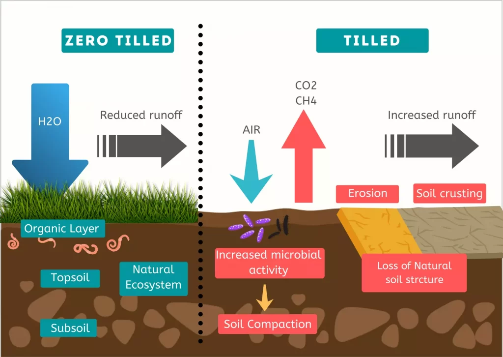 Tilled and zero tilled soil structure comparison