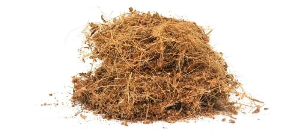 Coconut husk fiber