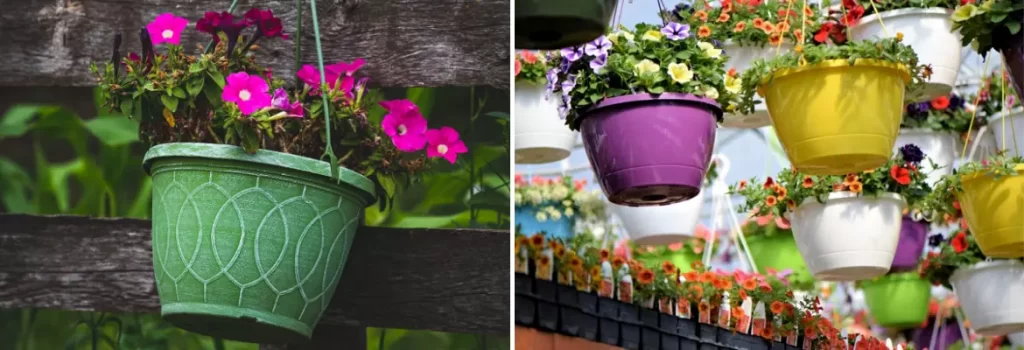 Plasticulture Hanging baskets used in Nursery
