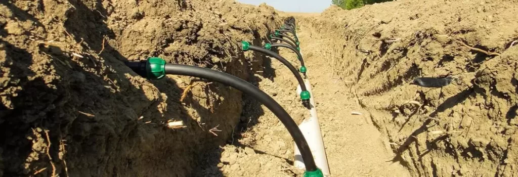Plasticulture In-line drip irrigation / Sub surface irrigation
