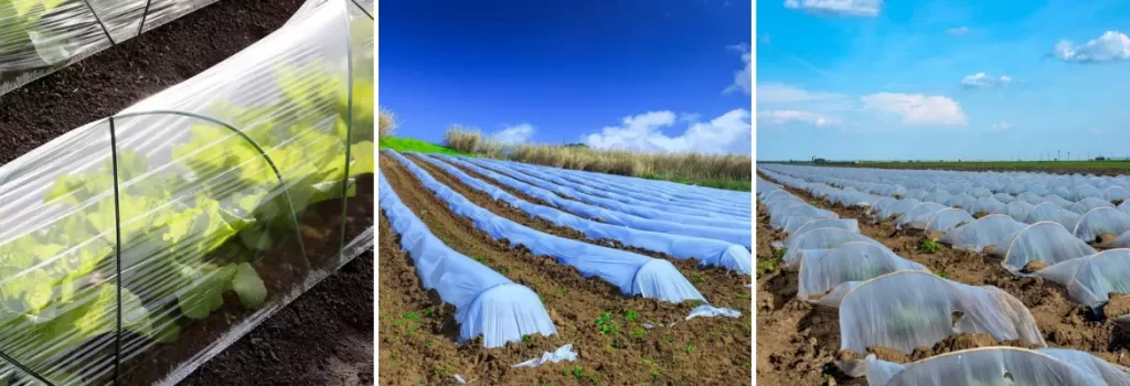 Plasticulture plastic low tunnel in agriculture