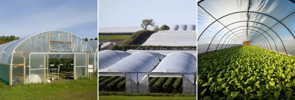 Plasticulture . polyhouse made of plastic. high tunnel made of plastic