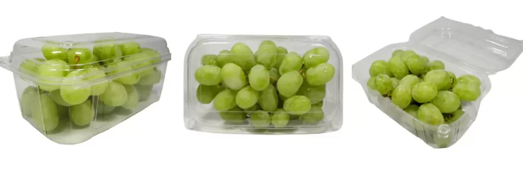 Plasticulture plastic punnet for fruit packing