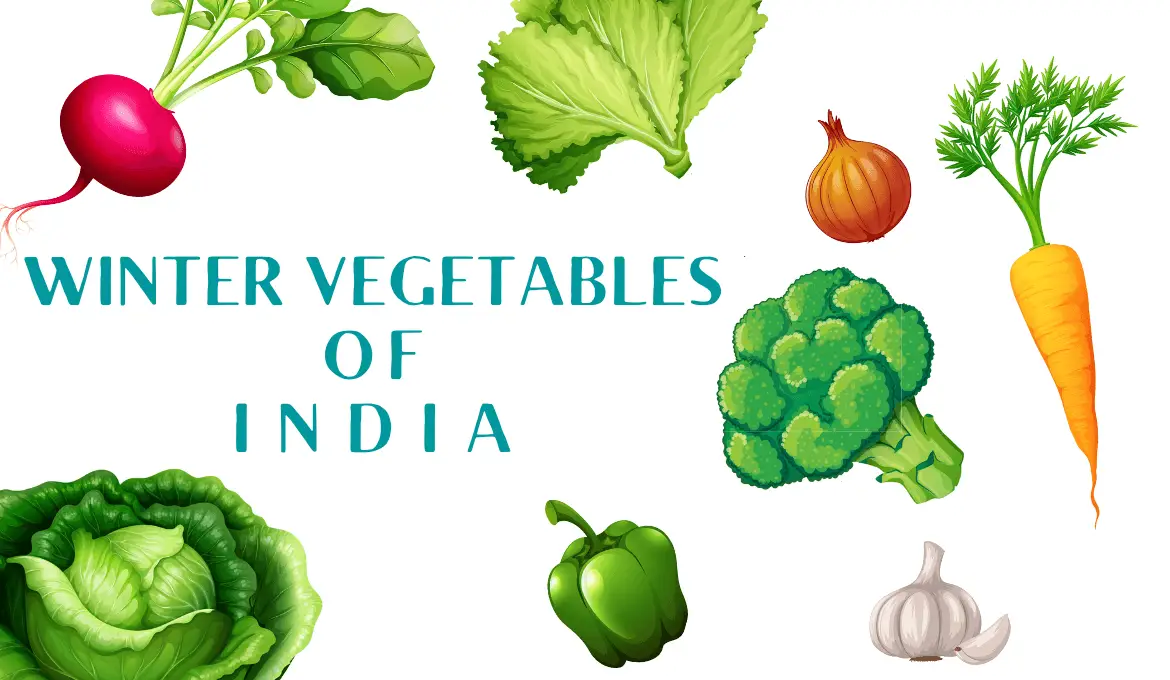 23-winter-season-vegetables-grown-in-india