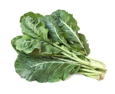 winter vegetable in India Collard 