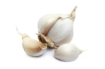 winter vegetable in India Garlic 