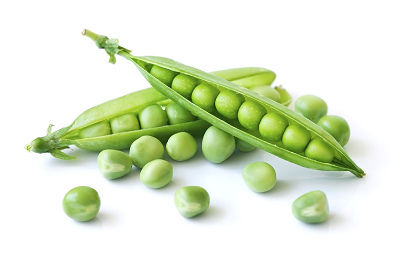 winter vegetable in India green Peas 