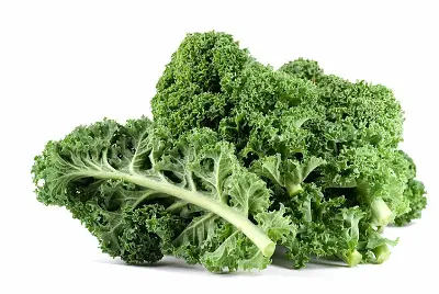 winter vegetable in India Kale 