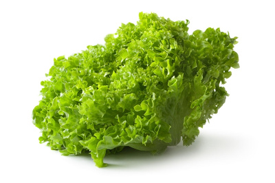 winter vegetable in India Lettuce