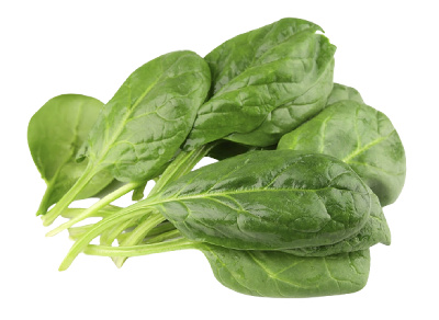 winter vegetable in India Spinach 