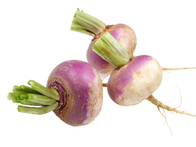 winter vegetable in India Turnip