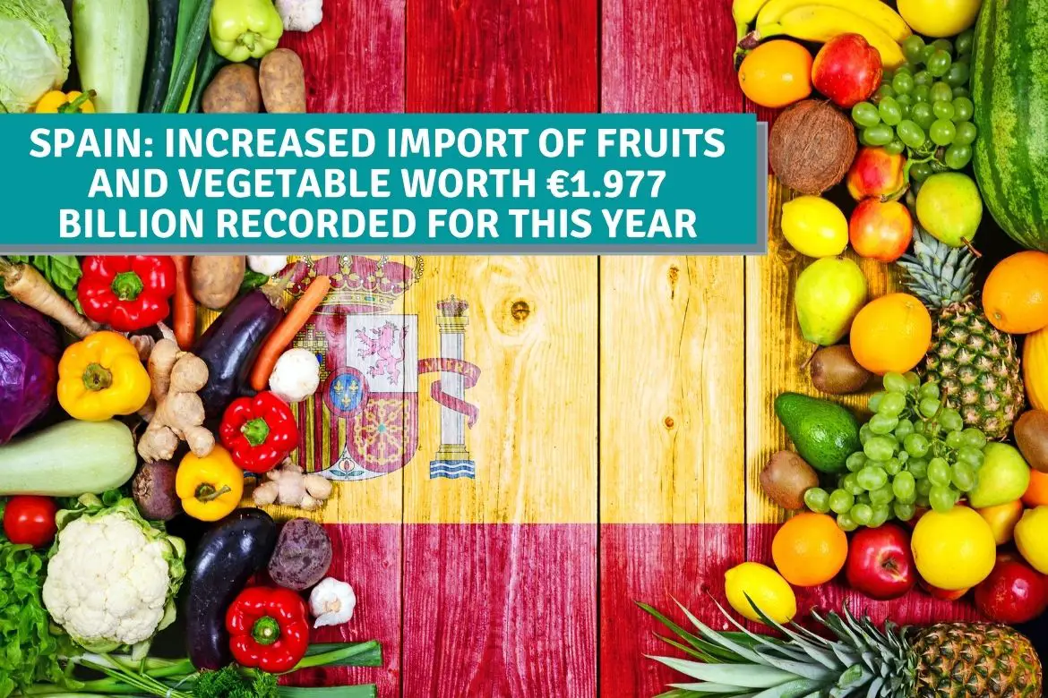 spain-increased-import-of-fruits-and-vegetable-worth-1-977-billion