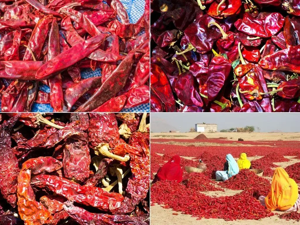 Dried red chilli