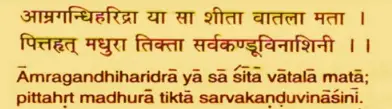 Sanskrit shloka depicting the benefits of mango ginger