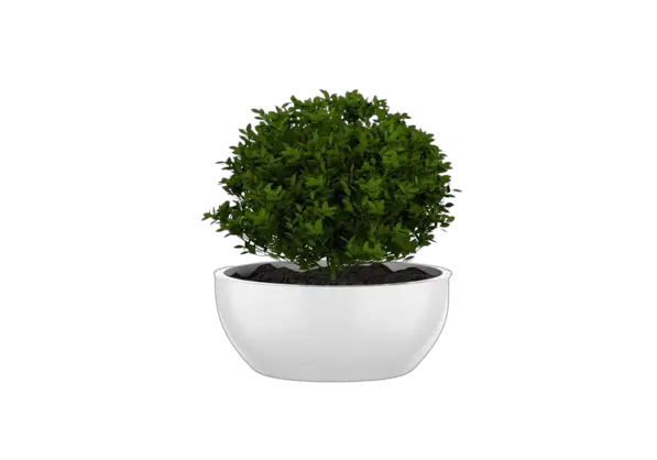 small container for indoor container gardening for plants and herbs and spices
