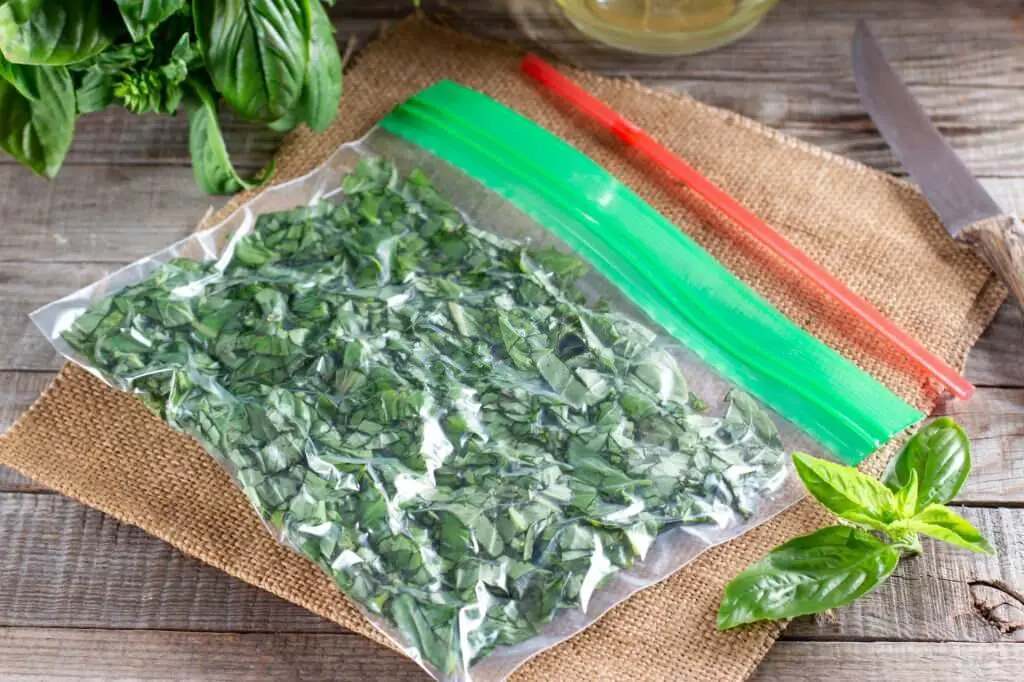 Frozen chopped herbs for storing