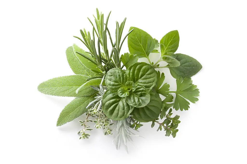 when to use Fresh herbs