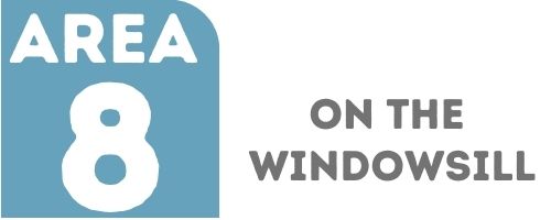 windowsill for indoor container gardening