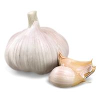 How to grow garlic in pot in Indoor Herb Garden