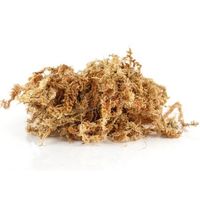 Sphagnum peat moss component of potting mix for container gardening