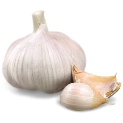 how to grow garlic in container or pot at home for indoor container gardening. How to grow garlic in pot