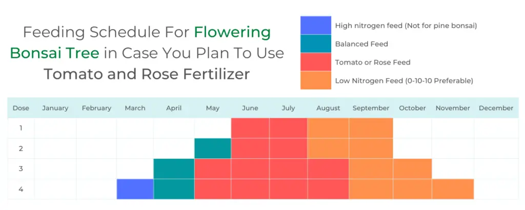 Feeding Schedule For Flowering Bonsai Tree in Case You Plan To Use Tomato and Rose Fertilizer