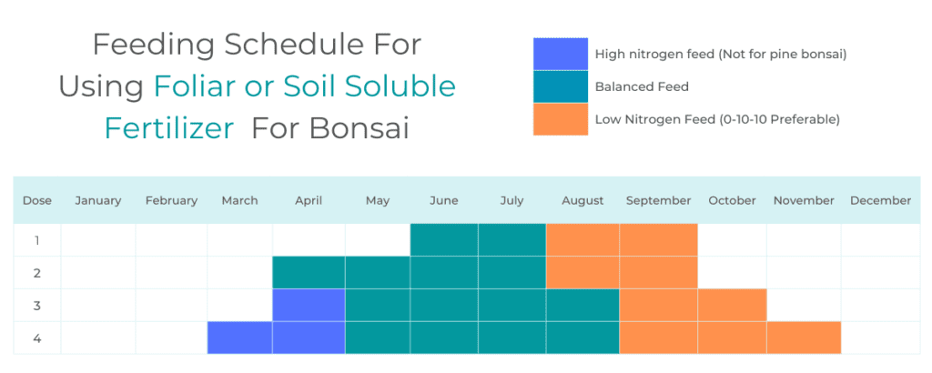 Feeding schedule for using foliar or soil soluble fertilizer for bonsai tree