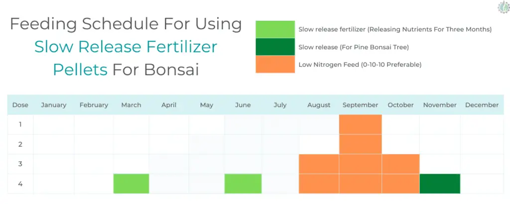 Feeding Schedule For Using Slow Release Fertilizer Pellets For Bonsai trees