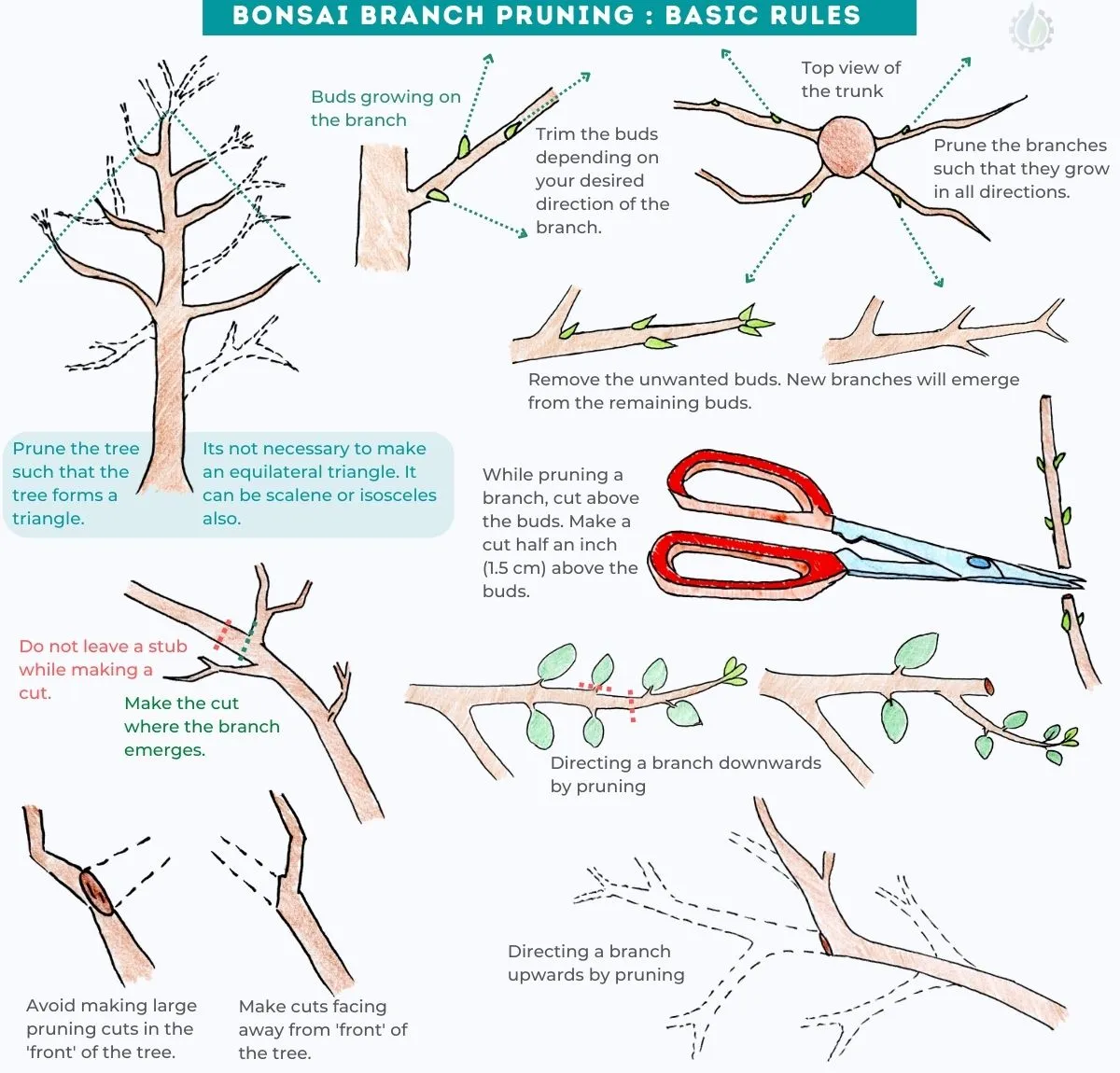 Where do you cut bonsai branches?
