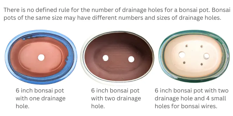 How many holes should a bonsai pot have