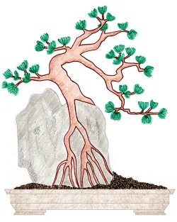Root over rock Bonsai style - Sekijoju bonsai style